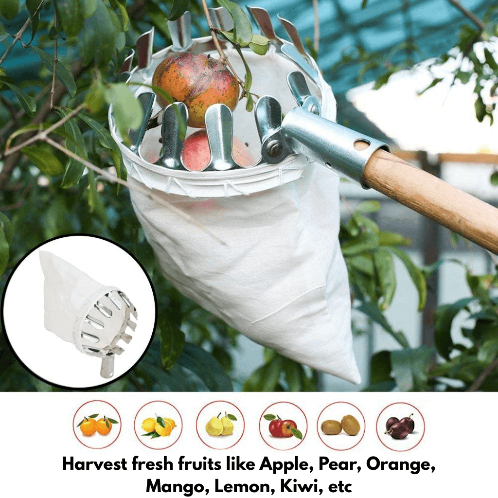 Smart Fruit Harvester with Long Handle