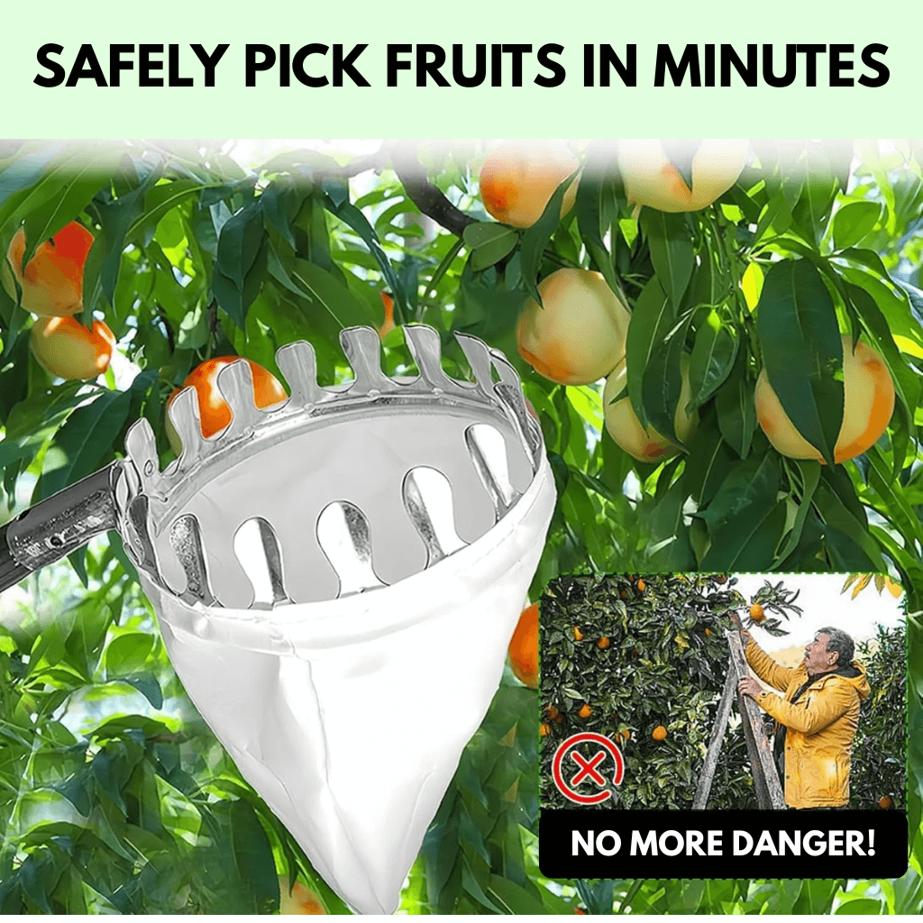 Smart Fruit Harvester with Long Handle