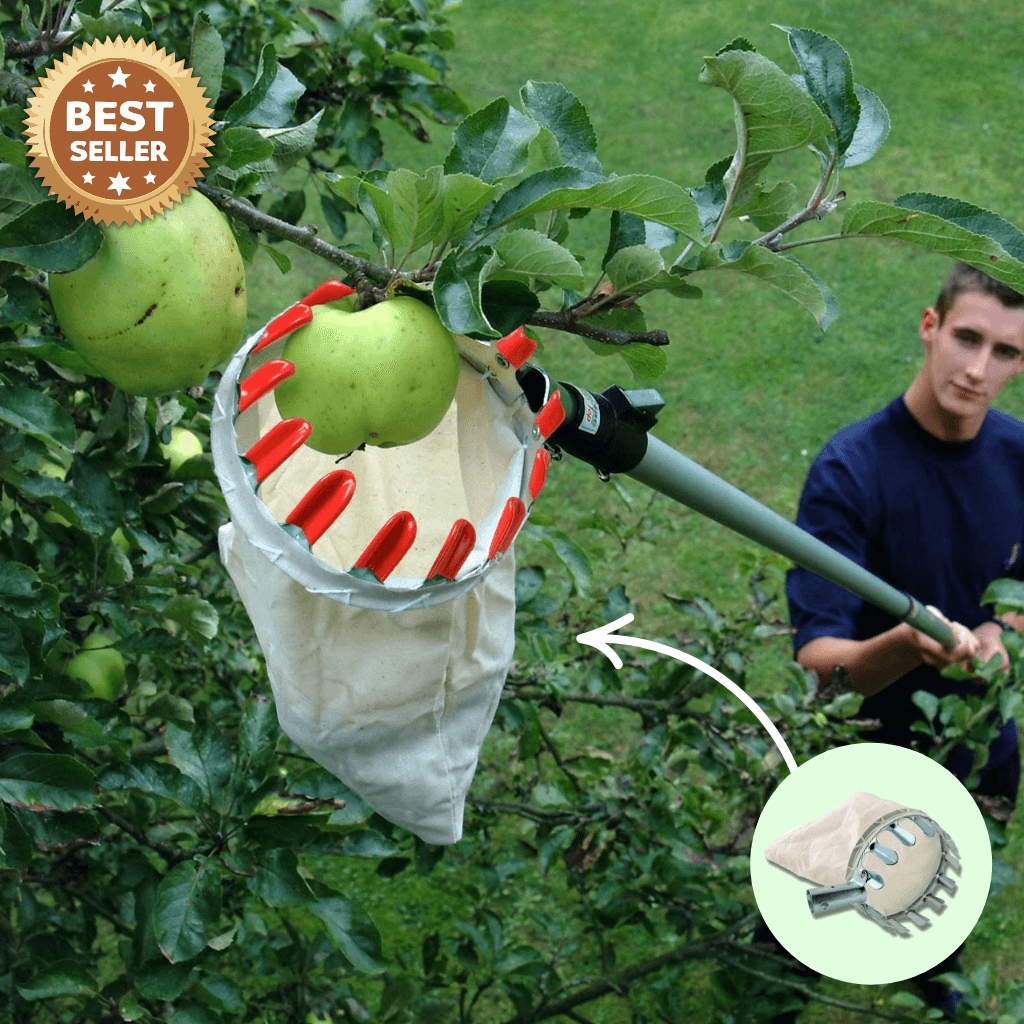 Smart Fruit Harvester with Long Handle