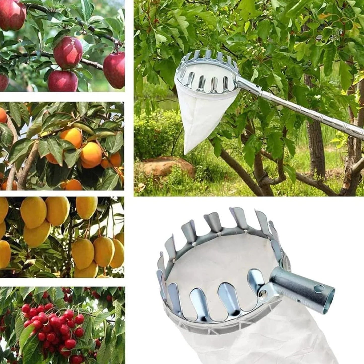 Smart Fruit Harvester with Long Handle