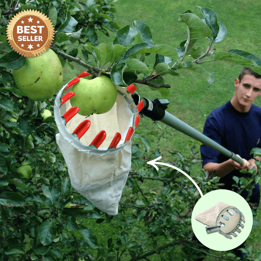 Smart Fruit Harvester with Long Handle